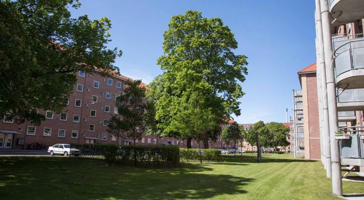 1-værelses Lejlighed på 38 m2