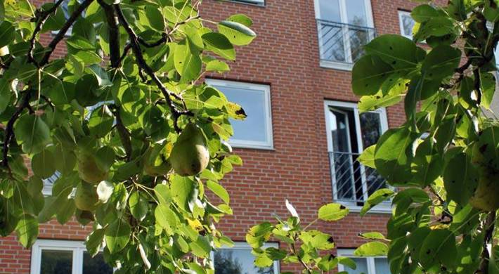 1-værelses Lejlighed på 46 m2