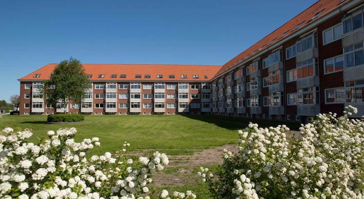 1-værelses Lejlighed på 55 m2