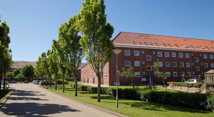 1-værelses Lejlighed på 55 m2