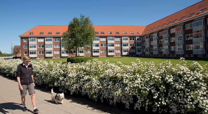 1-værelses Lejlighed på 55 m2