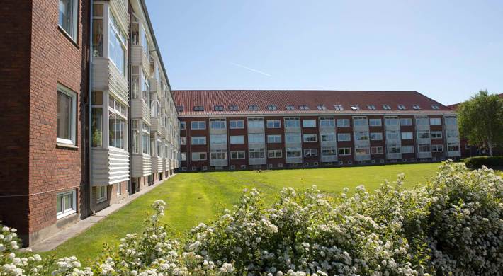1-værelses Lejlighed på 55 m2