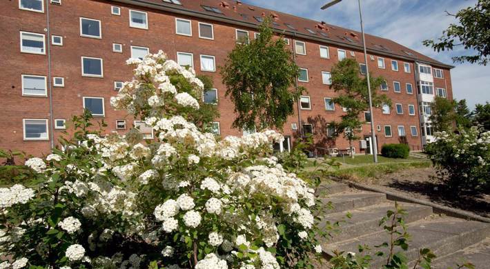 2-værelses Lejlighed på 42 m2