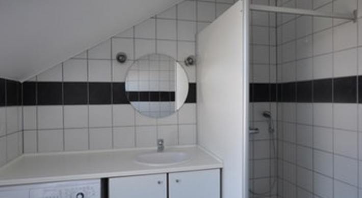 Vi søger en roomie