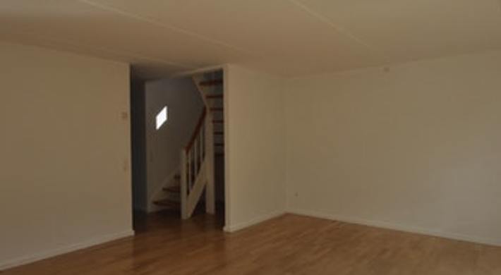 Vi søger en roomie